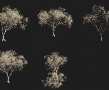 Modern Tree-ID:884814987