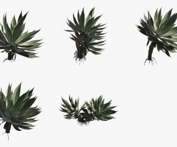 Modern The Grass-ID:967784882