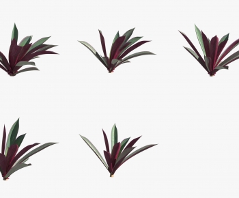 Modern The Grass-ID:857496983