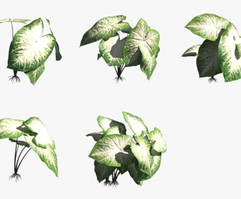 Modern The Grass-ID:844152932