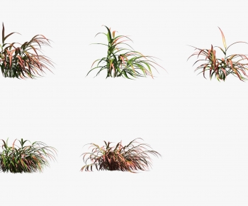 Modern The Grass-ID:240274918