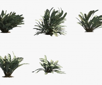 Modern The Grass-ID:384885074