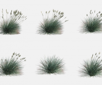 Modern The Grass-ID:702536117