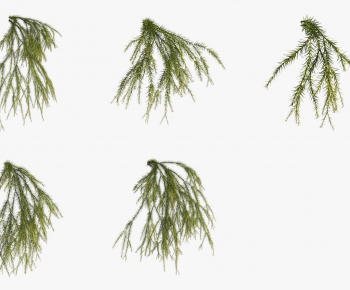 Modern The Grass-ID:413851982