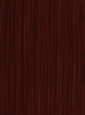 ModernWood Texture