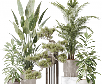 Modern Ground Green Plant Potted Plants-ID:844519114