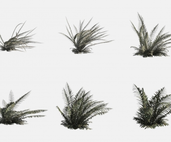 Modern The Grass-ID:614669081