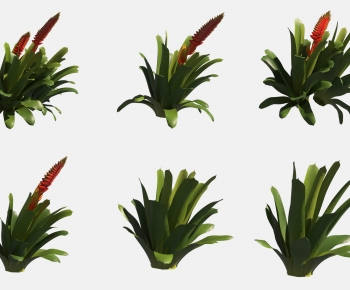 Modern Plant-ID:942553044