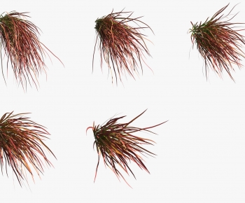 Modern The Grass-ID:135688074