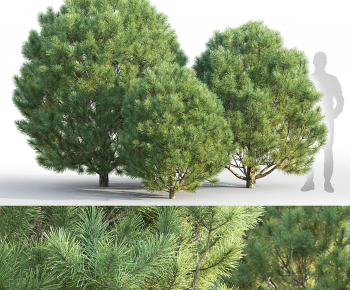 Modern Tree-ID:869347101