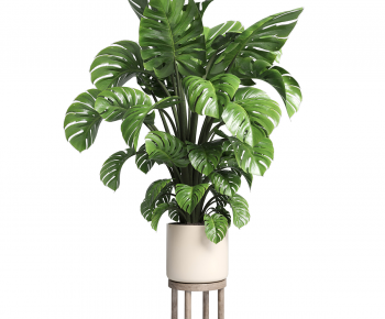 Modern Potted Green Plant-ID:543293006