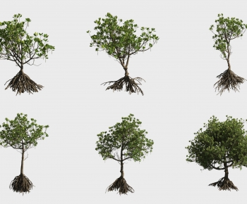 Modern Tree-ID:382190942