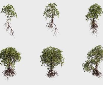 Modern Tree-ID:208311143