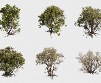 Modern Tree-ID:220865012