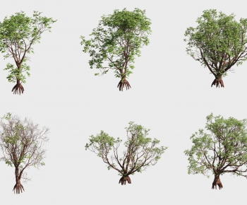 Modern Tree-ID:241900926
