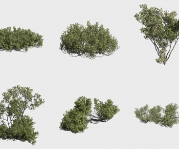 Modern Tree-ID:728288891