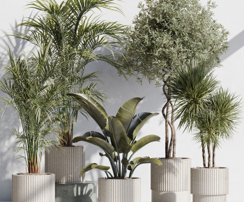 Modern Ground Green Plant Potted Plants-ID:604407072