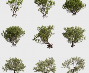 Modern Tree-ID:421266085