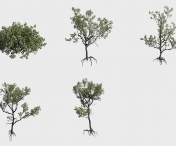 Modern Tree-ID:105168824