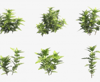 Modern Aquatic Green Plant-ID:812947999