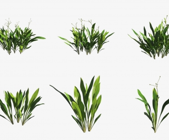 Modern Aquatic Green Plant-ID:595556025