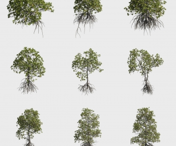 Modern Tree-ID:751180679