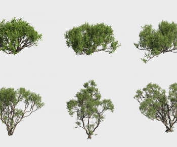 Modern Tree-ID:117645038