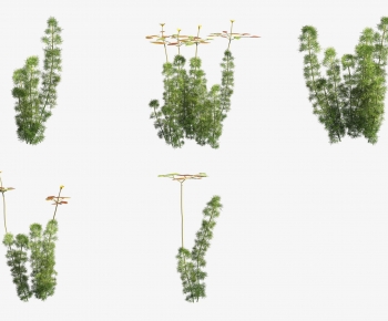 Modern Aquatic Green Plant-ID:600380979