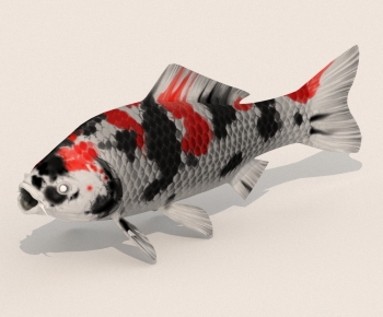 Modern Aquatic Animals-ID:913659101