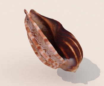 Modern Aquatic Animals-ID:113806018