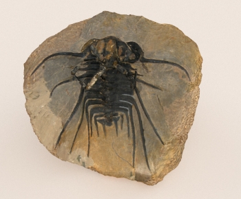 Modern Decorative Set-ID:703570849