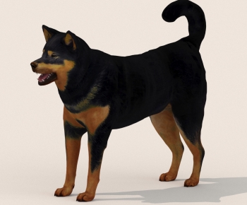 Modern Animal Dog-ID:893632896