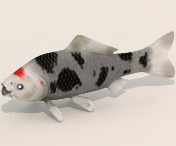 Modern Aquatic Animals-ID:942440037