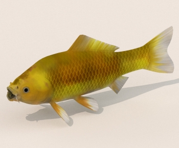 Modern Aquatic Animals-ID:684145937