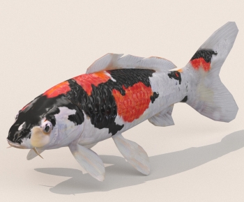 Modern Aquatic Animals-ID:604890116