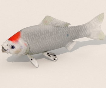 Modern Aquatic Animals-ID:534638885