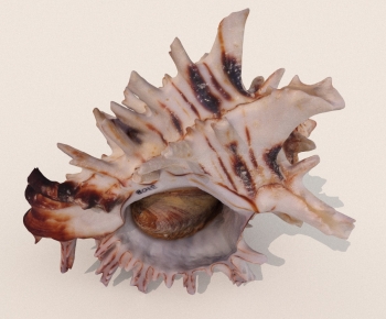 Modern Aquatic Animals-ID:676666989