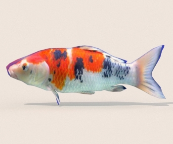 Modern Aquatic Animals-ID:744926933