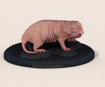 Modern Mammal-ID:704365973