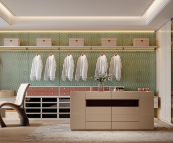 Modern Clothes Storage Area-ID:323036917