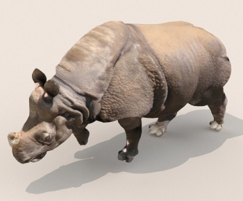 Modern Mammal-ID:260479596