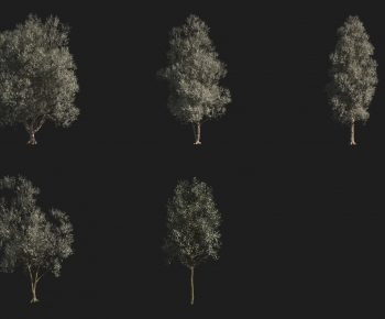 Modern Tree-ID:467859038