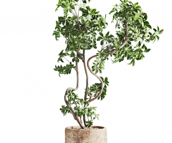 Modern Ground Green Plant Potted Plants-ID:283543117