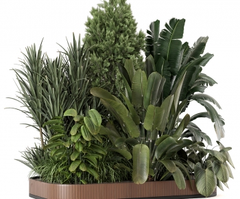 Modern Flower Bed, Flower Bowl, Flower Box-ID:259015087