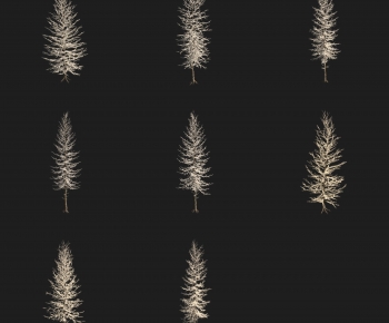 Modern Tree-ID:840970996