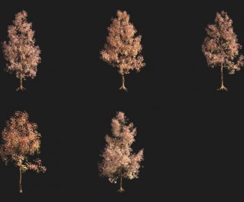 Modern Tree-ID:491810082