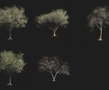 Modern Tree-ID:951910973