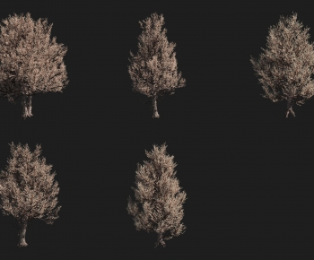 Modern Tree-ID:473732955