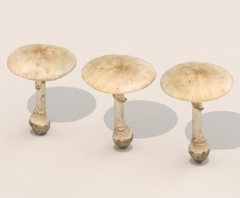 Modern Vegetables-ID:963398931