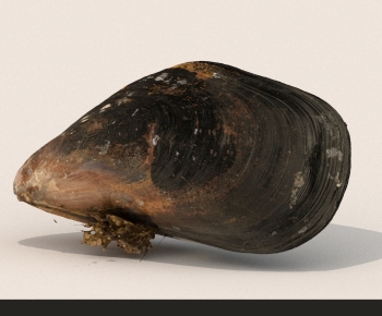 Modern Aquatic Product-ID:308404923